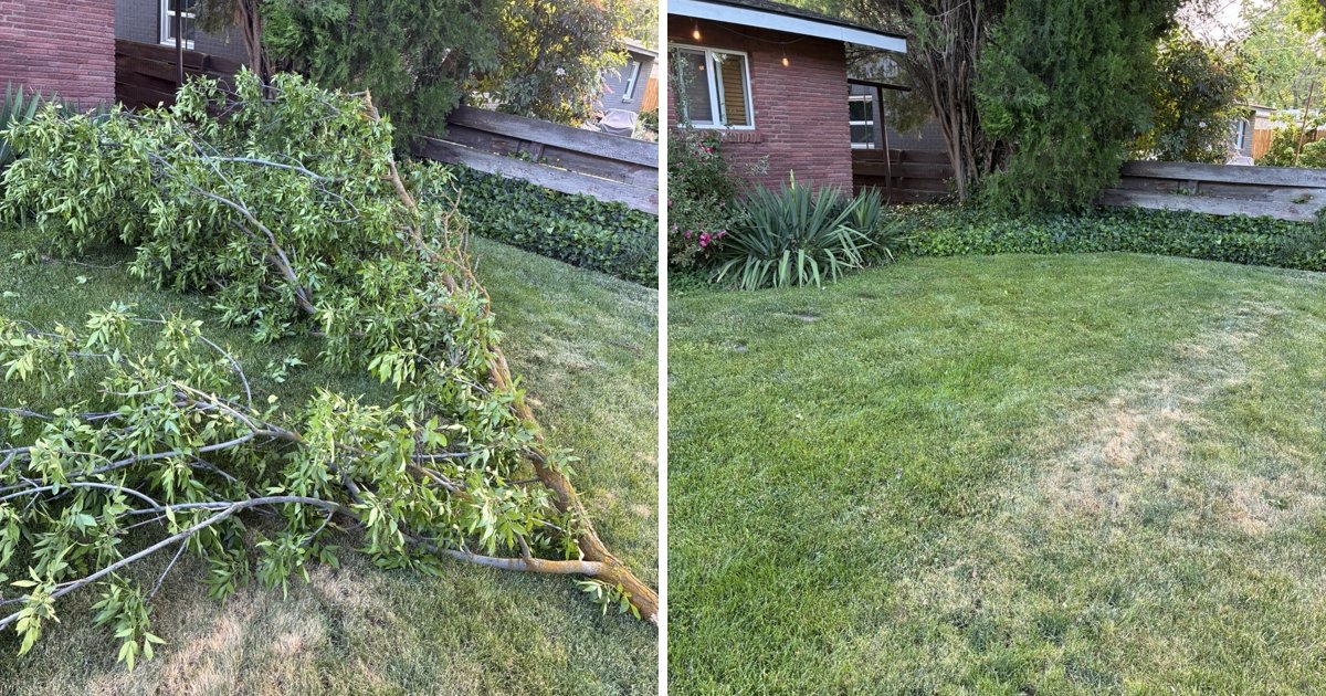 Before and after of a Treasure Valley yard cleanup: fallen branches covering the lawn, then a clear, raked lawn